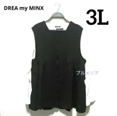 ペプラムベスト&カットソー　アンサンブル2点セット　3L　大きいサイズ　新品