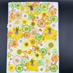 Item thumbnail for item 6de1eb47-b060-43ec-acba-5206d5f4c6bf