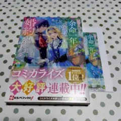 義姉の代わりに、余命一年と言われる侯爵子息様と婚約することになりました