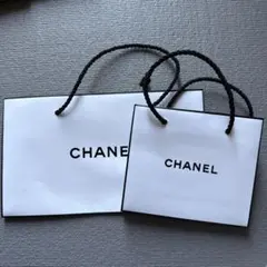 CHANEL ショップ袋 大・小セット　ラッピングケース