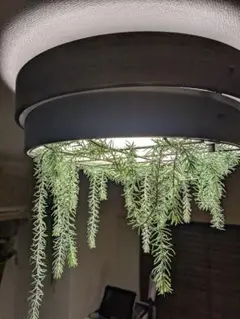 植物装飾シーリングライト