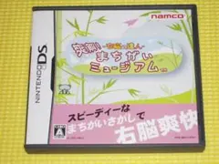 DS★右脳の達人 爽解!まちがいミュージアム★箱付・説明書付・ソフト付