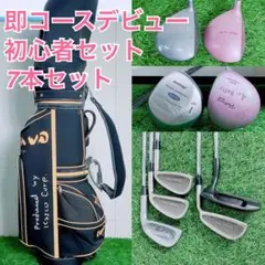 レディース ゴルフクラブ セット 7本 初心者向け バッグ付き H3347