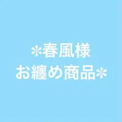春風様 リクエスト 2点 まとめ商品