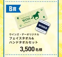 ウィンズ・デー オリジナル ファイスタオル&ハンドタオルセットのサムネイル