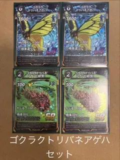 【虫神器】ゴクラクトリバネアゲハセットのサムネイル