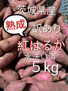 茨城県産さつま芋訳あり紅はるかのサムネイル