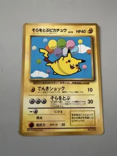 そらをとぶピカチュウ_ANA 「ジェットでゲットだ！Wチャンス