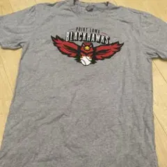 Item thumbnail for item b50e98ed-d265-4532-a08e-b27d946851e1