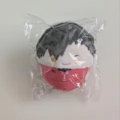 ハイキュー!! 黒尾鉄朗 くじメイト D賞 ふわコロりん