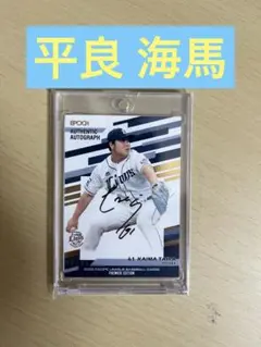 み*♡様 埼玉西武ライオンズ平良海馬選手ミニ色紙直筆サイン 2025年