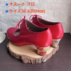 ⭐︎オスーナ プロ⭐︎フラメンコシューズ(釘あり)⭐︎柄ヒール⭐︎サイズ36.5⭐︎ 2026年最新】オスーナの人気アイテム - メルカリ