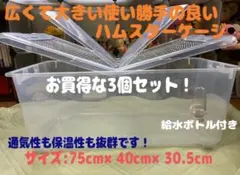 Item thumbnail for item 09eb3af7-4769-41e4-a812-8968406254d3