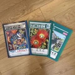 ポケモン自由帳・国語12マスノート2冊のサムネイル
