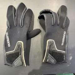 Item thumbnail for item 9f985008-b49d-4d83-b8dc-a290e24a065e