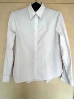 ホワイト 長袖ブラウス xlサイズ