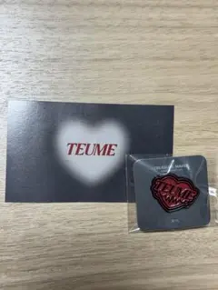 TREASURE 継続　ピンズ