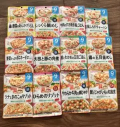 和光堂 9ヶ月頃から 離乳食 ベビーフード 12点セット