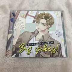 【N17173】Big yikes! 〜目が覚めると入籍してました 〜/cv:テ