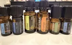 値下げ！doTERRA ♡ ディープブルー・イージーエア・ゼンジェストのサムネイル