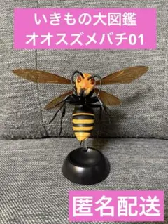 生き物大図鑑　オオスズメバチ01　ガチャガチャ