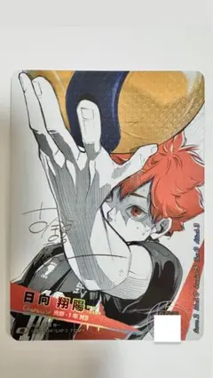 日向翔陽 サイン入りトレーディングカード