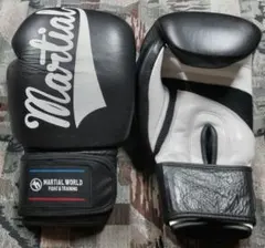 Item thumbnail for item bb8b62ac-a74a-445e-ba0d-8cc5570b95d5