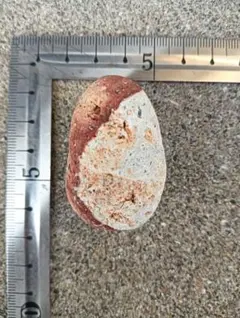 赤褐色×白系の天然石・自然石　コレクション用