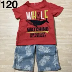 Item thumbnail for item d320b137-07f0-4082-82a6-97fa4bc236ed