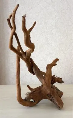 一点もの 天然木 瘤木 飾り台 オブジェ 衝立 家具 骨董品 レトロ 木造