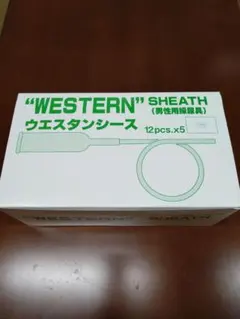 Item thumbnail for item 53192b8c-2a39-4b1d-a441-e761bd444242