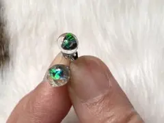 Item thumbnail for item 4f2550ab-6b1d-41ac-8c21-0f6f7949d13b