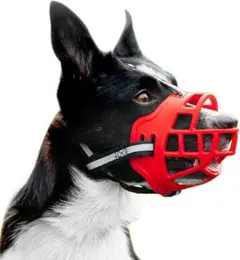 Item thumbnail for item 565b1fbf-8c03-41cd-bf76-bfda25c0ce41