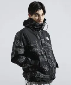 THE NORTH FACE バンダナ柄 ダウンジャケット - メルカリ