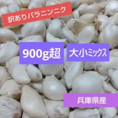 お買い得❗訳ありバラニンニク 大小ミックス❣️兵庫県産 ネコポス箱込み1kgのサムネイル