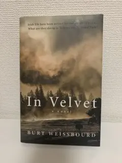 In Velvet by Burt Weissbourd