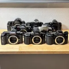 Item thumbnail for item 38611bd4-f63a-424b-8af2-bccba8a5b9da