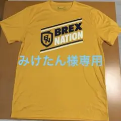 宇都宮ブレックス　BREX NATION Tシャツ Lサイズ イエロー