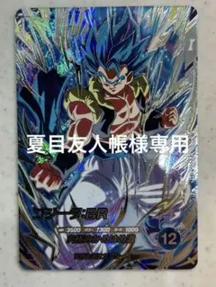 2026年最新】ゴジータbr secの人気アイテム - メルカリ