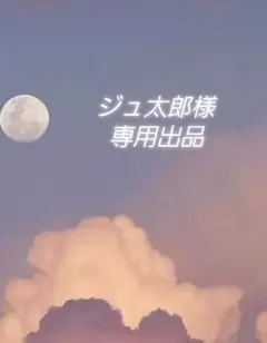 専用出品