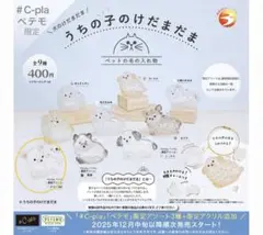 うちの子のけだまだま 犬　限定アソート　チワワ　白　ガチャガチャ