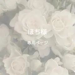 ほち様専用ページ