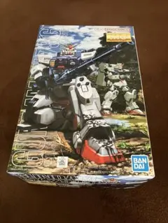 MG 1/100 RX-79[G] 陸戦型ガンダム