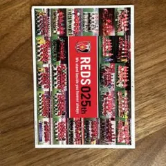 REDS 25th 記念ポストカード 非売品