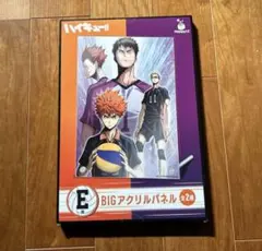 ハイキュー!! BIGアクリルパネル Happyくじ E賞
