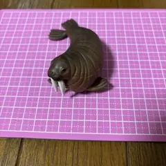 2026年最新】セイウチの人気アイテム - メルカリ