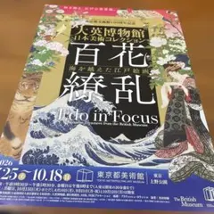 Item thumbnail for item 75461228-d443-4105-873d-c8668057f2b0