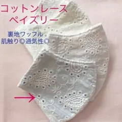 夏　N-2 小池百合子都知事　ペイズリー　ワッフル爽やかブルー