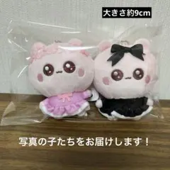 うちゃ ぬいぐるみマスコット ぴんくのうちゃ ぶらっくのうちゃ セット