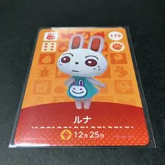 けん様 リクエスト 2点 まとめ商品